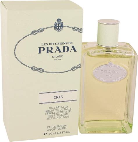 infusion de iris prada equivalenza|Prada infusion d'iris 200 ml.